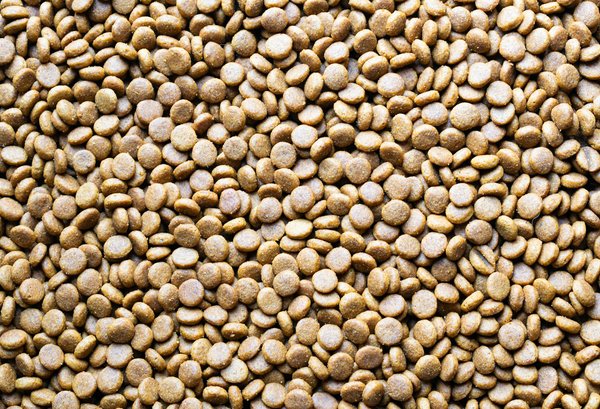 Psy à Bordeaux : ressources et soutien pour parents et enfants