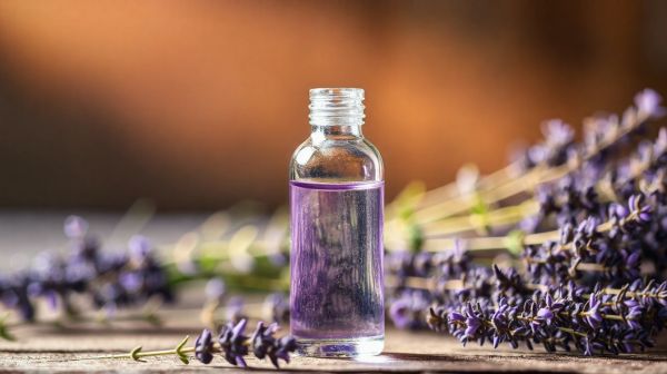 Top 5 bienfaits de l'huile essentielle de lavande pour apaiser le stress